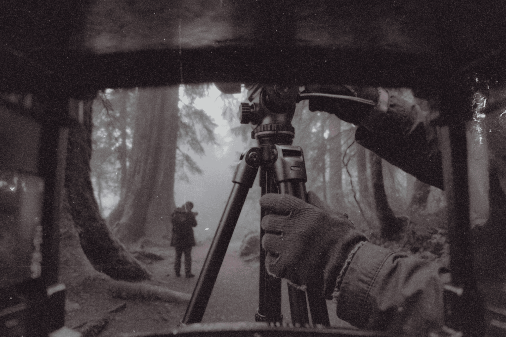 A black-and-white view from behind a camera setup, capturing a misty forest path where two distant figures stand among towering trees—an intimate moment of documenting dawn in ancient woods.