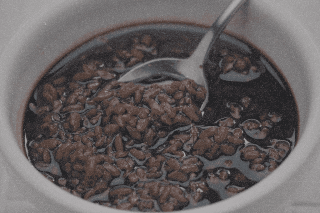 A ceramic bowl cradles a glossy, dark sauce flecked with softened grains, a metal spoon resting gently within—capturing the intimate textures and quiet depth of fermented flavor central to Japan’s living culinary memory.