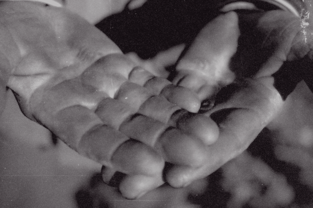 Two hands—one large, one small—cup a tiny object together in black and white, their textures etched with care and contrast, evoking the quiet legacy of touch passed between generations.