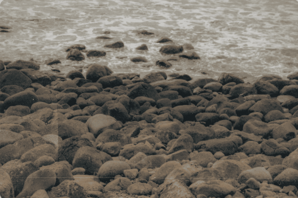  Sepia-toned shoreline scattered with rounded stones and foamy waves—capturing the quiet resilience of coastal landscapes as spaces for reflection and personal recovery.