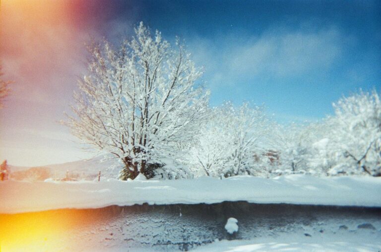 This film photograph captures a serene winter scene featuring leafless trees heavily coated in white snow against a deep blue sky. Distinctive orange and yellow light leaks on the left side give the image a nostalgic, vintage aesthetic characteristic of analog photography.