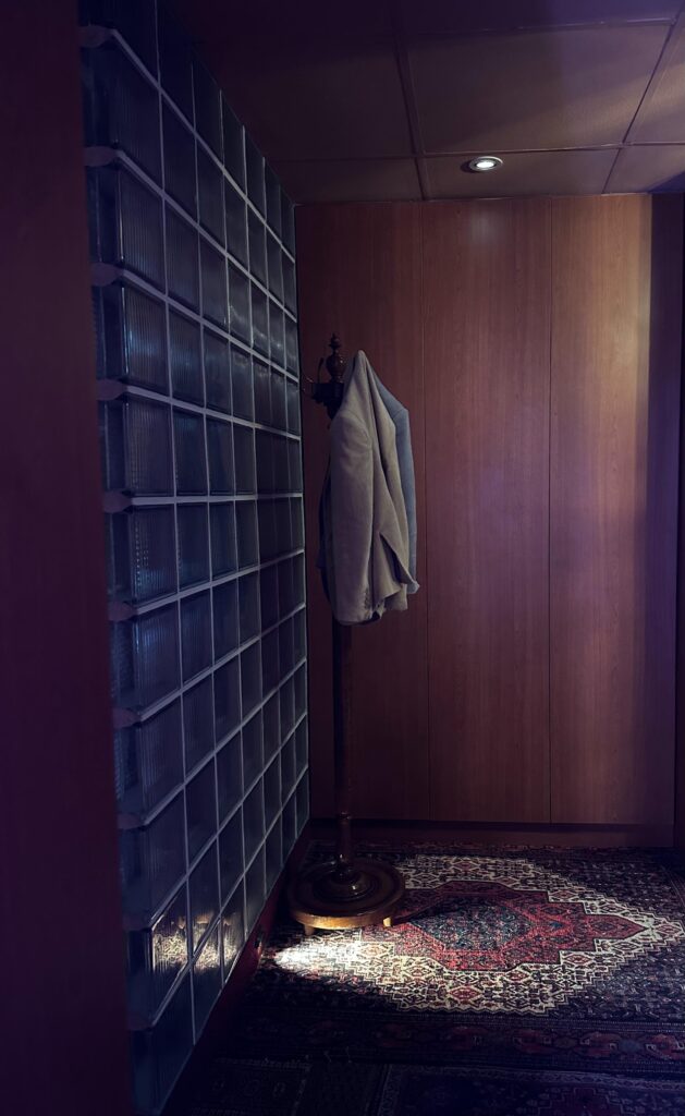 A wooden coat rack holding a beige blazer stands in a dimly lit corner formed by a wall of glass blocks and smooth wood paneling. A beam of light shines directly down onto an ornate Persian-style rug, creating a dramatic contrast against the deep shadows of the room.