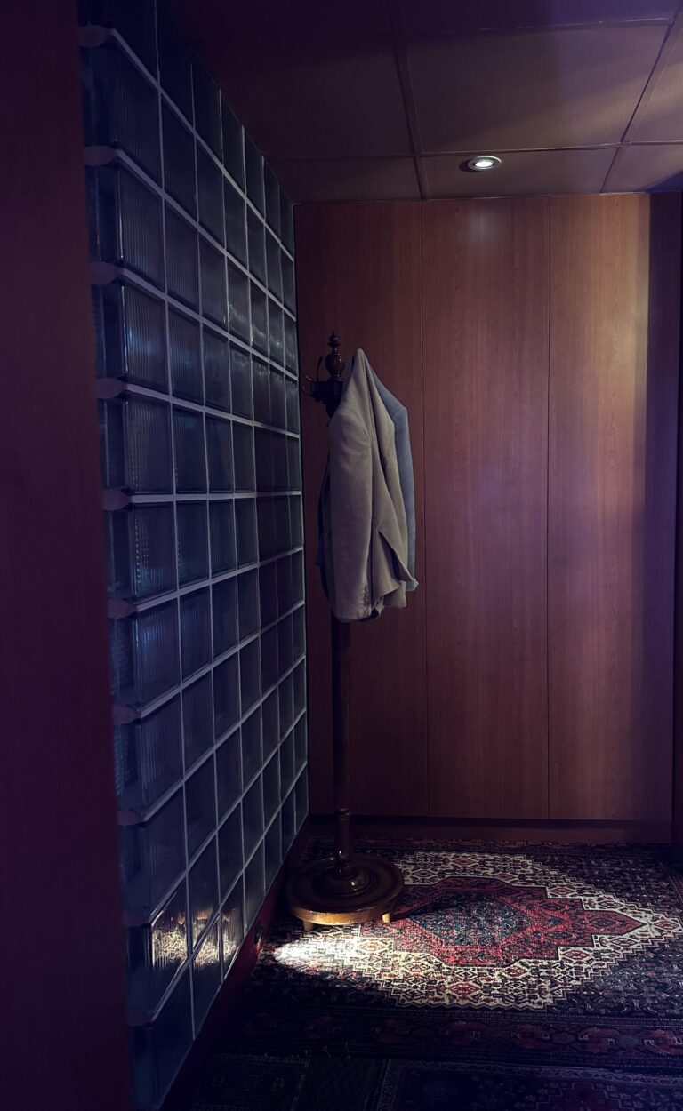 A wooden coat rack holding a beige blazer stands in a dimly lit corner formed by a wall of glass blocks and smooth wood paneling. A beam of light shines directly down onto an ornate Persian-style rug, creating a dramatic contrast against the deep shadows of the room.