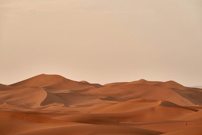 A vast expanse of rolling orange sand dunes stretches across the horizon under a soft, hazy sky. The minimalist landscape emphasizes the rhythmic curves and sharp ridges of the desert, creating a sense of quiet isolation.