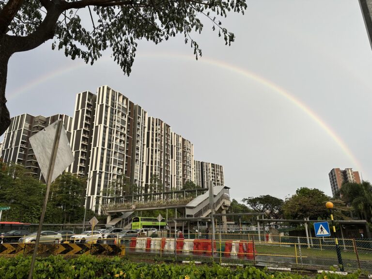 A vibrant rainbow arches across a gloomy, overcast sky, framing a modern multi-story residential complex and a nearby pedestrian bridge. In the foreground, a busy roadside features a green double-decker bus, parked cars, and temporary traffic barriers under the shade of large trees.