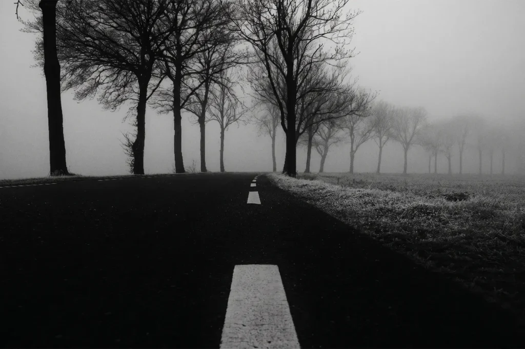 Moody black and white photo of a dark asphalt road leading into thick fog, lined with bare winter trees and frost-covered grass.