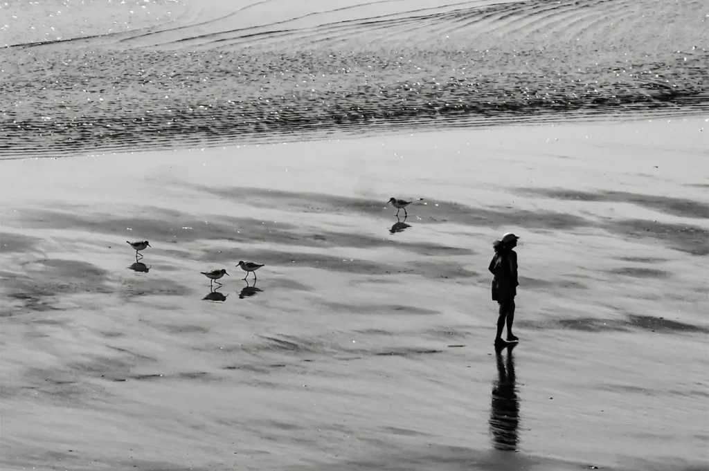 Black and white high-contrast photo of a person silhouetted on a reflective beach at low tide, walking near a small group of shorebirds with visible ripples in the sand.