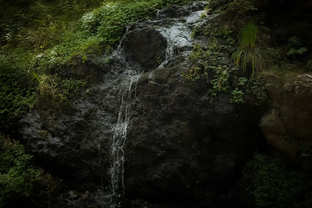 Clear spring water cascading over moss-covered rocks in a lush forest setting, surrounded by green vegetation and natural woodland scenery.