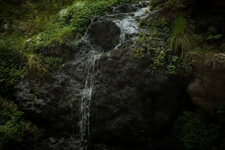 Clear spring water cascading over moss-covered rocks in a lush forest setting, surrounded by green vegetation and natural woodland scenery.