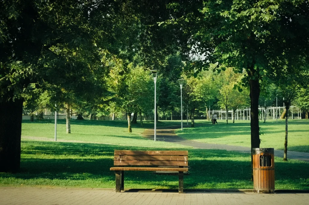 A wooden bench faces a green park with trees, a pathway, street lamps, and a trash can nearby on a sunny day.