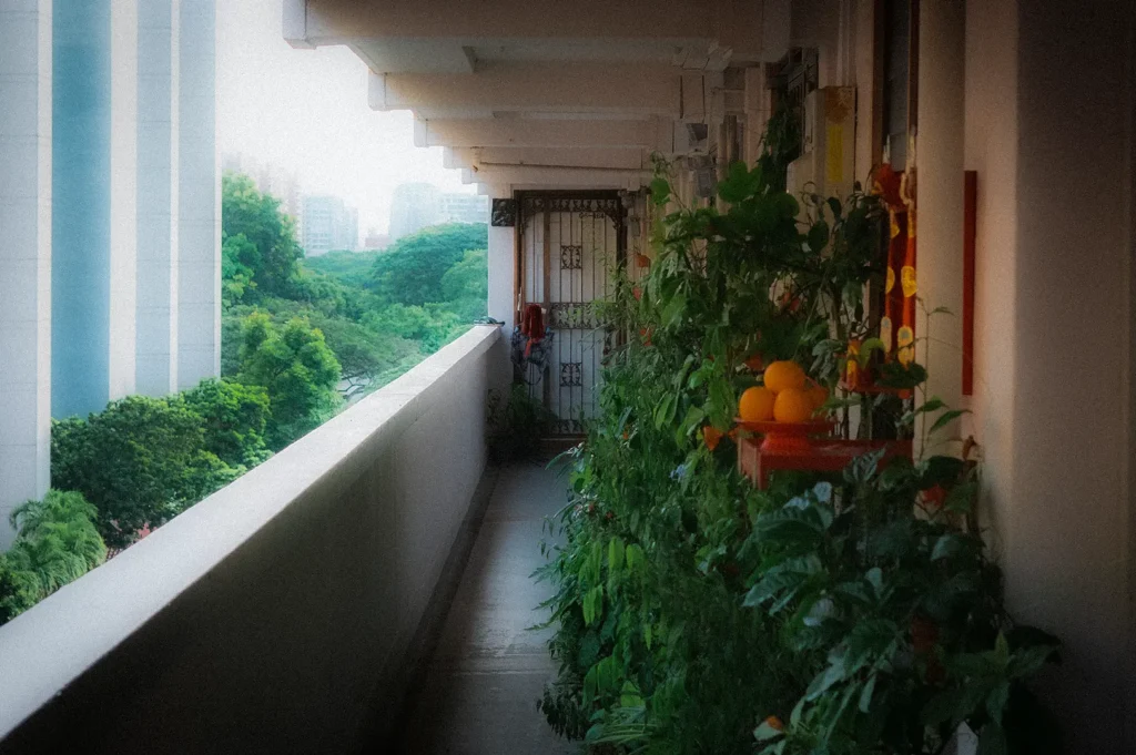 Singapore HDB corridor lined with lush potted plants and greenery, overlooking residential towers and trees in a peaceful urban neighborhood.