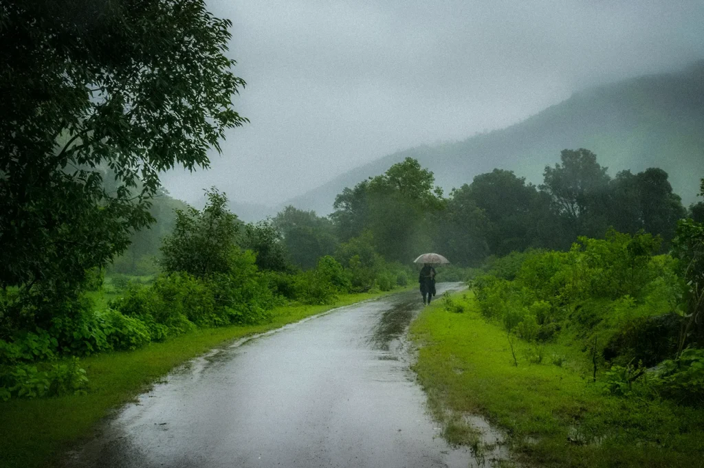 Scenic countryside road during heavy rainfall with lush green trees, mist-covered hills, and a person holding an umbrella, capturing a peaceful rainy landscape.